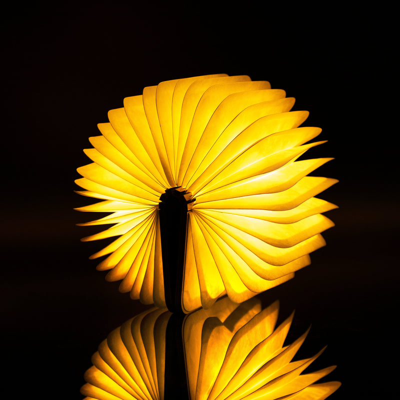 Gingko Gifts Maple Mini Smart Book Light