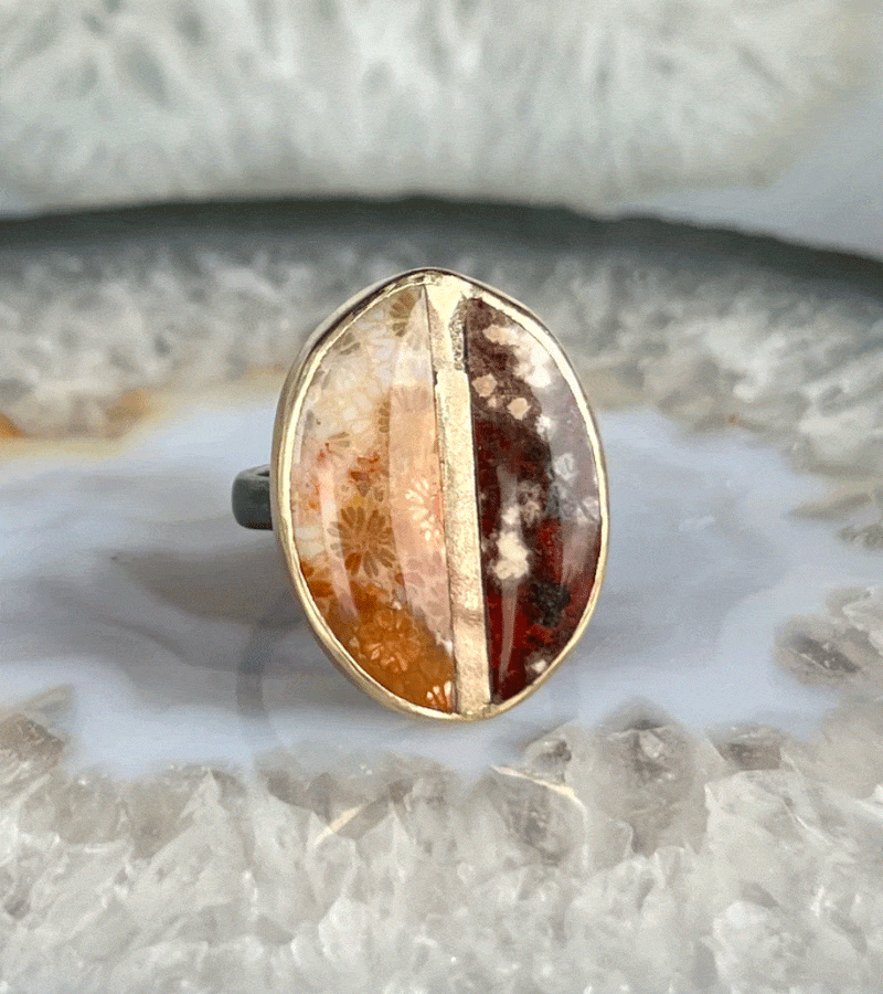 Karin Luvaas Rings Fossilized Coral, Ocean Jasper 14K IRing